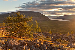 ����� ���. ����������� ����������, ����� ��������, ������