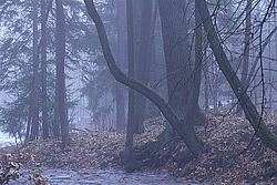 ������� �������, ������� ������ ������