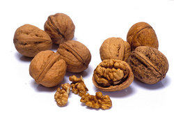 Walnut