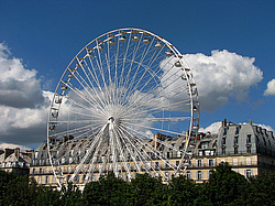 �������, �����