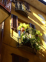 ����, ������