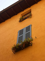 ����, ������