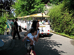 �������, �����