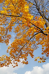 ������������� ������