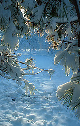 ������������� ������