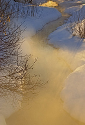 ������������� ������