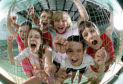 ����: ���������� ����