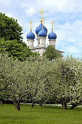 ������, �����������