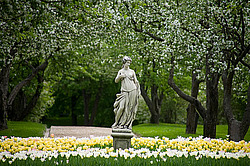 ������, �����������