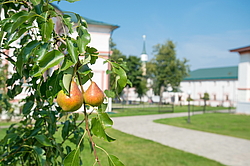 �������� ���������, ������, ������������ �������