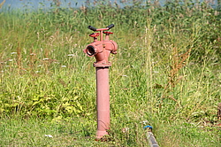 �������� ���������, ������, ������������ �������