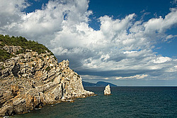 ��� � ������������ ������. ����. ������. ��� ��-�����. ����� �����-�����. ����� �����