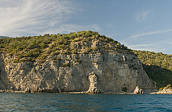 ����. ������� ������. ��� �������