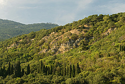 ����. ������� ������. ��� �������