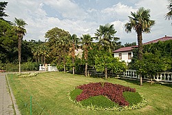 ����. ����. ��������� ������������ ���