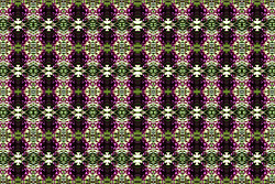 �� ����� <������������ - ������������ ���������>. ������� ����