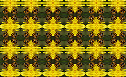 �� ����� <������������ - ������������ ���������>. ������ ����