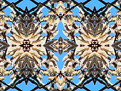 �� ����� <������������ - ������������ ���������>. ����� ����