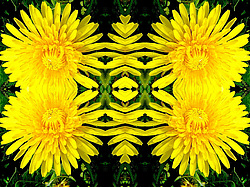 �� ����� <������������ - ������������ ���������>. ������ ����