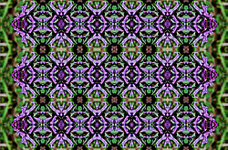 �� ����� <������������ - ������������ ���������>. ������� ����