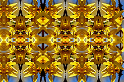 �� ����� <������������ - ������������ ���������>. ������ ����