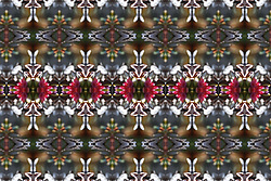 �� ����� <������������ - ������������ ���������>. ����� ����