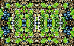 �� ����� <������������ - ������������ ���������>. ������� ����