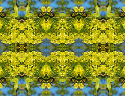 �� ����� <������������ - ������������ ���������>. ������ ����