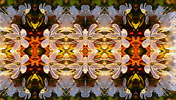 �� ����� <������������ - ������������ ���������>. ������� ����