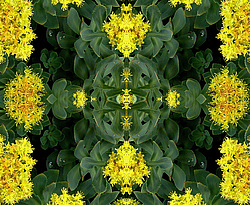 �� ����� <������������ - ������������ ���������>. ������ ����