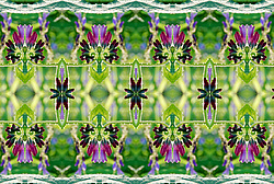 �� ����� <������������ - ������������ ���������>. ������� ����