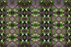 �� ����� <������������ - ������������ ���������>. ������� ����