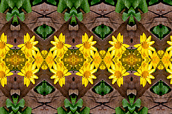 �� ����� <������������ - ������������ ���������>. ������ ����