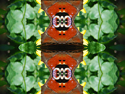 �� ����� <������������ - ������������ ���������>. ������� ����