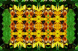 �� ����� <������������ - ������������ ���������>. ������ ����