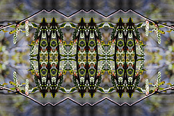 �� ����� <������������ - ������������ ���������>. ������� ����