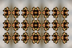 �� ����� <������������ - ������������ ���������>. ������� ����