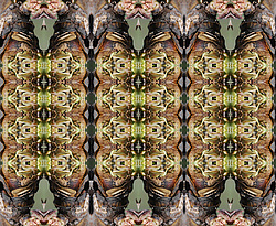 �� ����� <������������ - ������������ ���������>. ������� ����