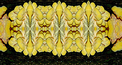 �� ����� <������������ - ������������ ���������>. ������� ����