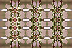 �� ����� <������������ - ������������ ���������>. ������� ����