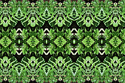 �� ����� <������������ - ������������ ���������>. ������� ����