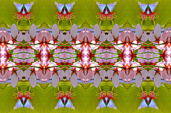 �� ����� <������������ - ������������ ���������>. ������� ����