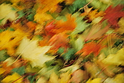 ������ ����� ����������� ���������