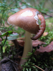 �����: ���� � ��������