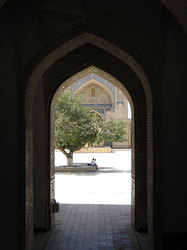 ������ �����, ������, ����������