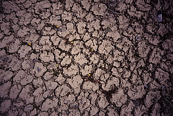 �����, ��������, ����-����