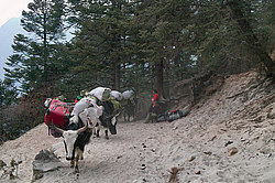 ���������� �������, ���� ������� ������� ������ - �� ����� � ��������� �������� ��������.