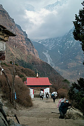 ���������� �������, ���� ������� ������� ������ - �� ����� � ��������� �������� ��������. ��������