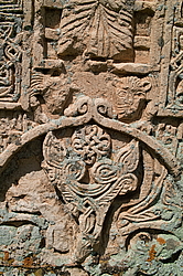 ���� ���� ����������, �����, �������