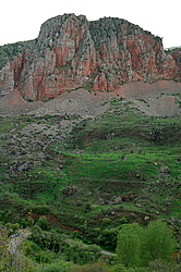 ��������� ��������, �������